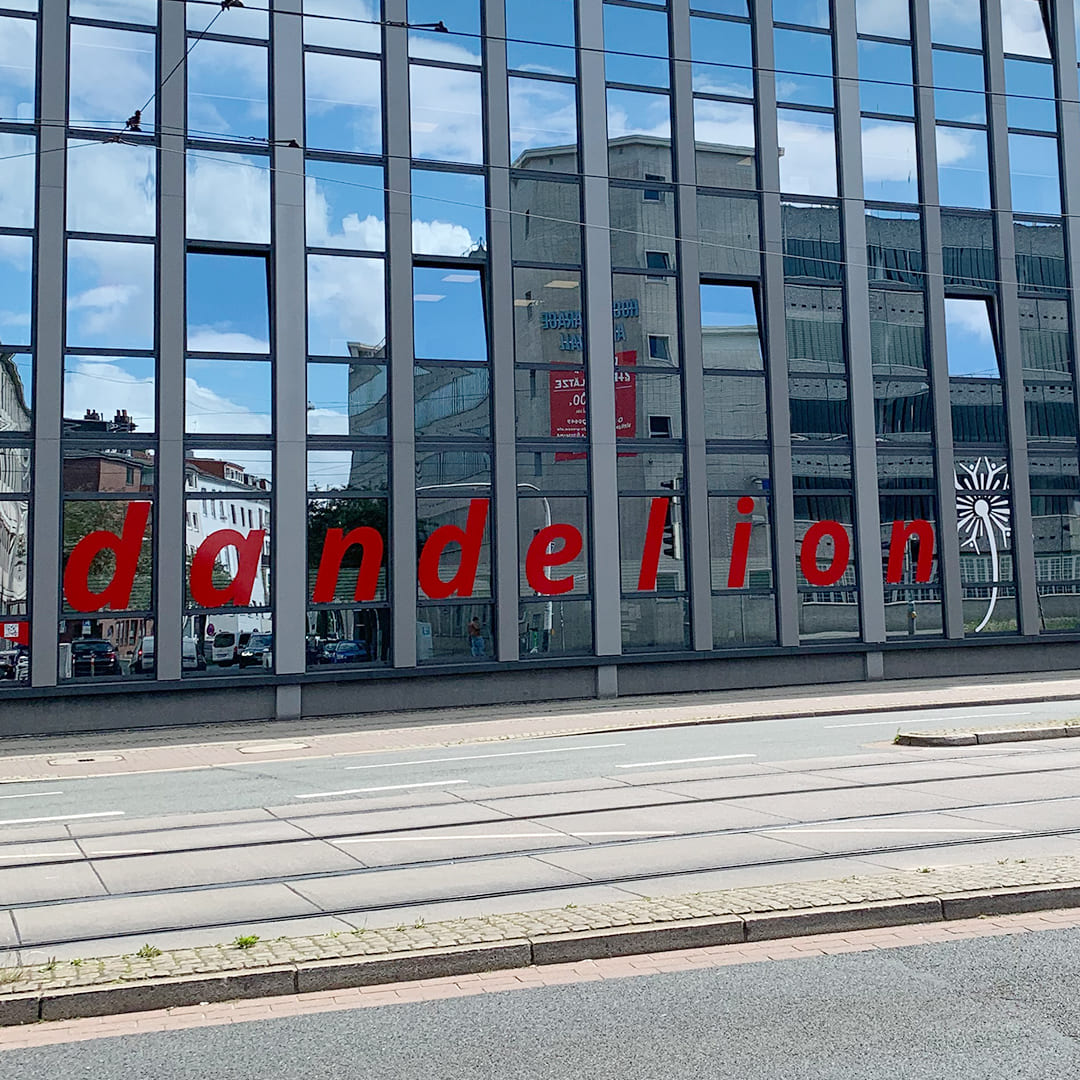 Dandelion Bildung Fensterbeschriftung