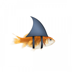 Fisch mit Haiflosse
